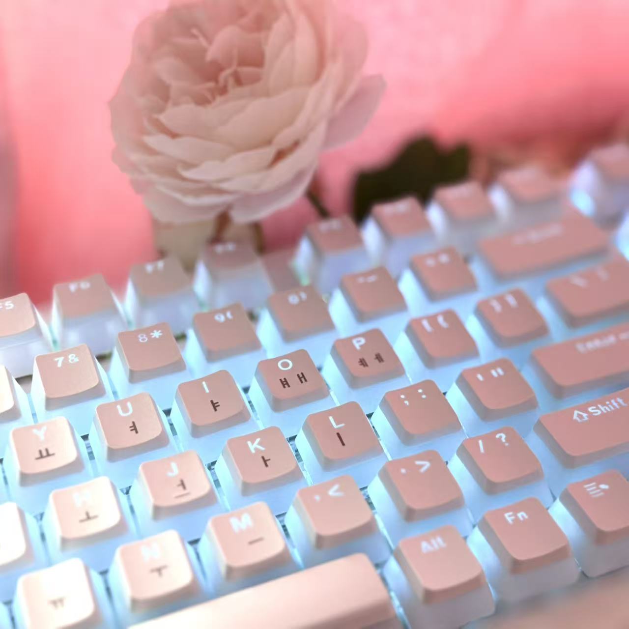 Hangul Keycap Korean Layout Ke – Gaming Set Accessories Bewertung und Preis