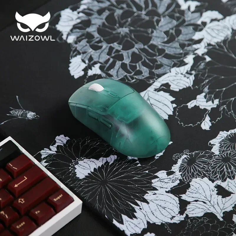 Waizowl OGM Pro Wireless Mouse – Gaming Hand Accessories Bewertung und Preis